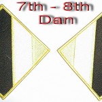 flashes 7-8 dan