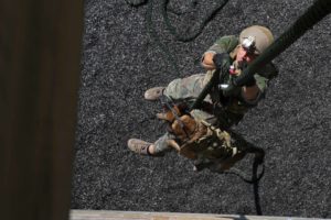 A Multi-Purpose Canine handler, with U.S. Marine Corps Forces Special Operations Command, fast-ropes with his canine aboard Stone Bay, Oct. 1, 2014. As MARSOC continues to demonstrate their capabilities and versatilities, MPC handlers with the command are preparing themselves and their canines for new areas of operation, they’ll be deploying to. (U.S. Marine Corps Photo by Cpl. Steven Fox/Released)